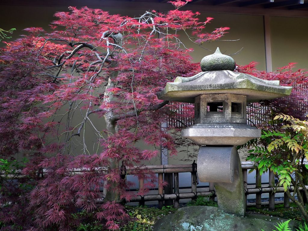 Vacancy Rewards Promotions Visits Tokyo (2)