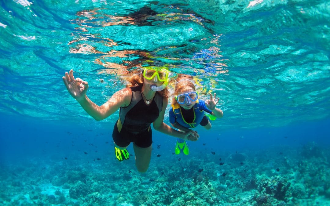 Vacancy Rewards Takes you snorkeling at Paradise Island