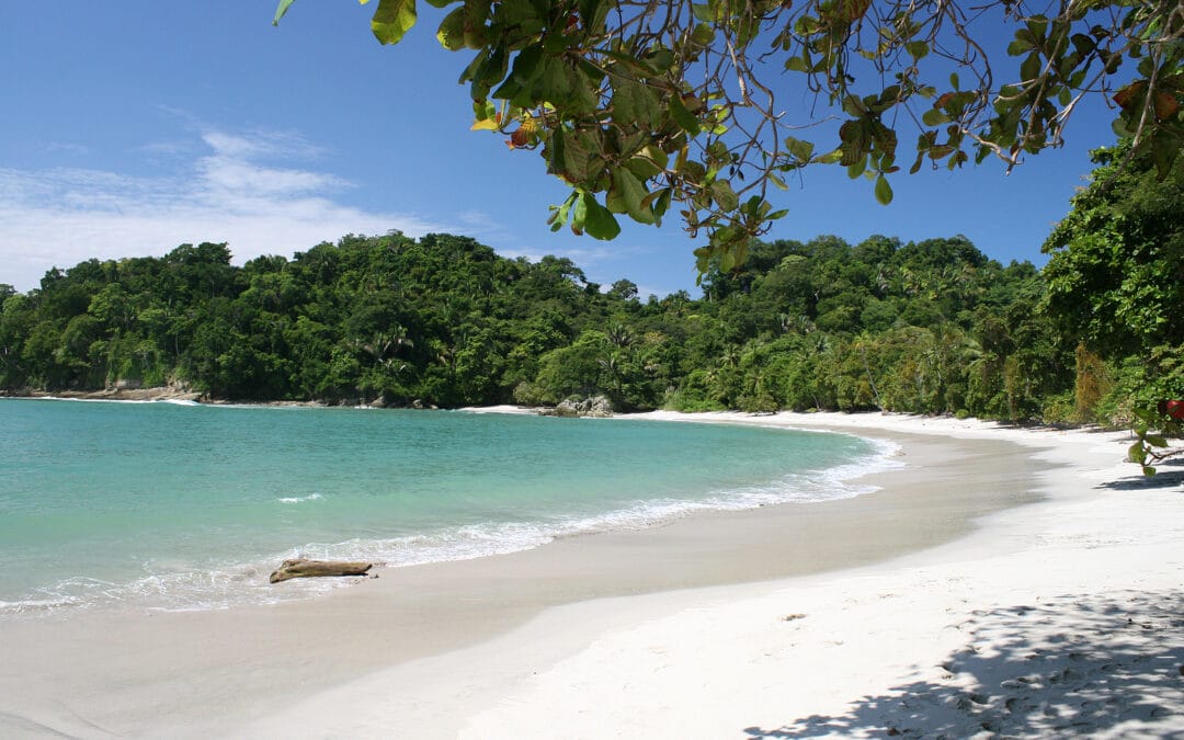 Vacancy Rewards Visits on Your Next Trip to Costa Rica