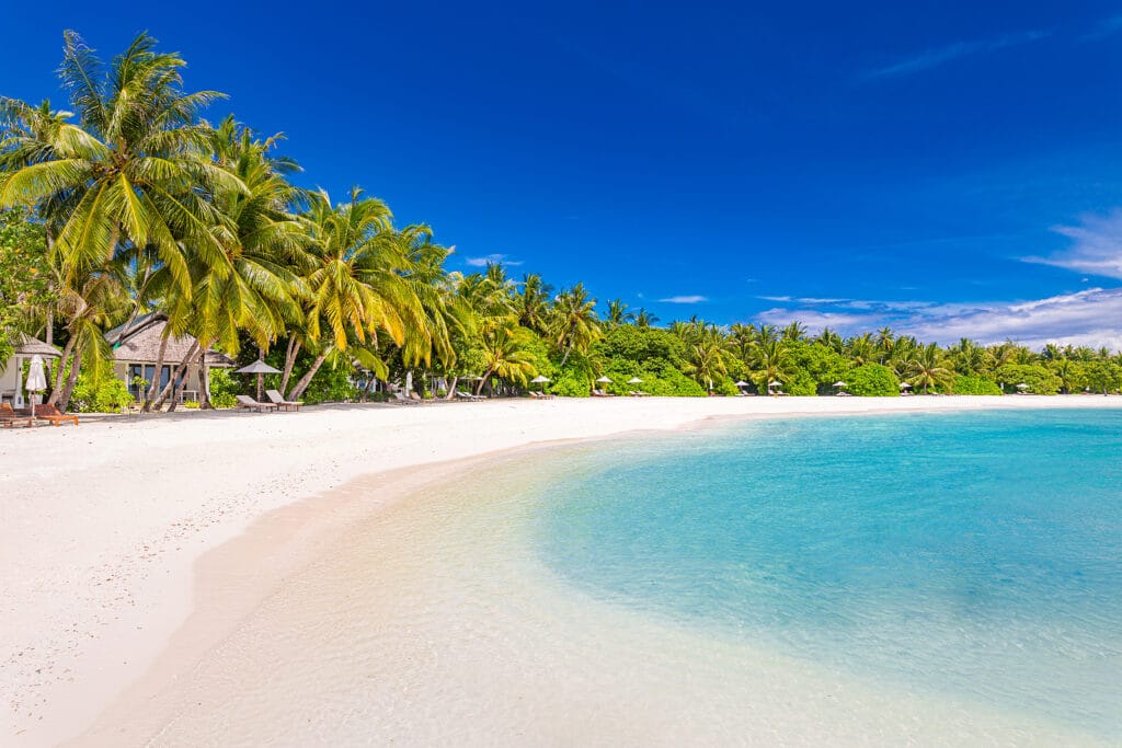 Tropical beach