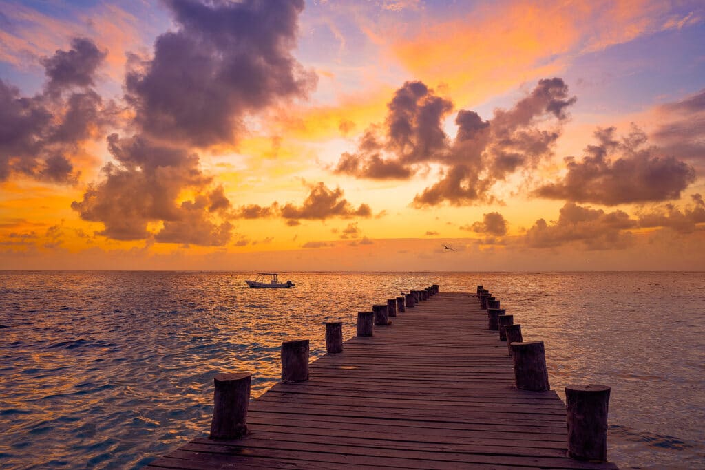 Best Tips for Traveling with Pets from Vacancy Rewards