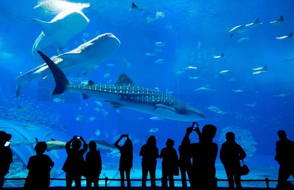 Vacancy Rewards highlights destination activities that can complement a resort stay and add variety to a vacation itinerary.